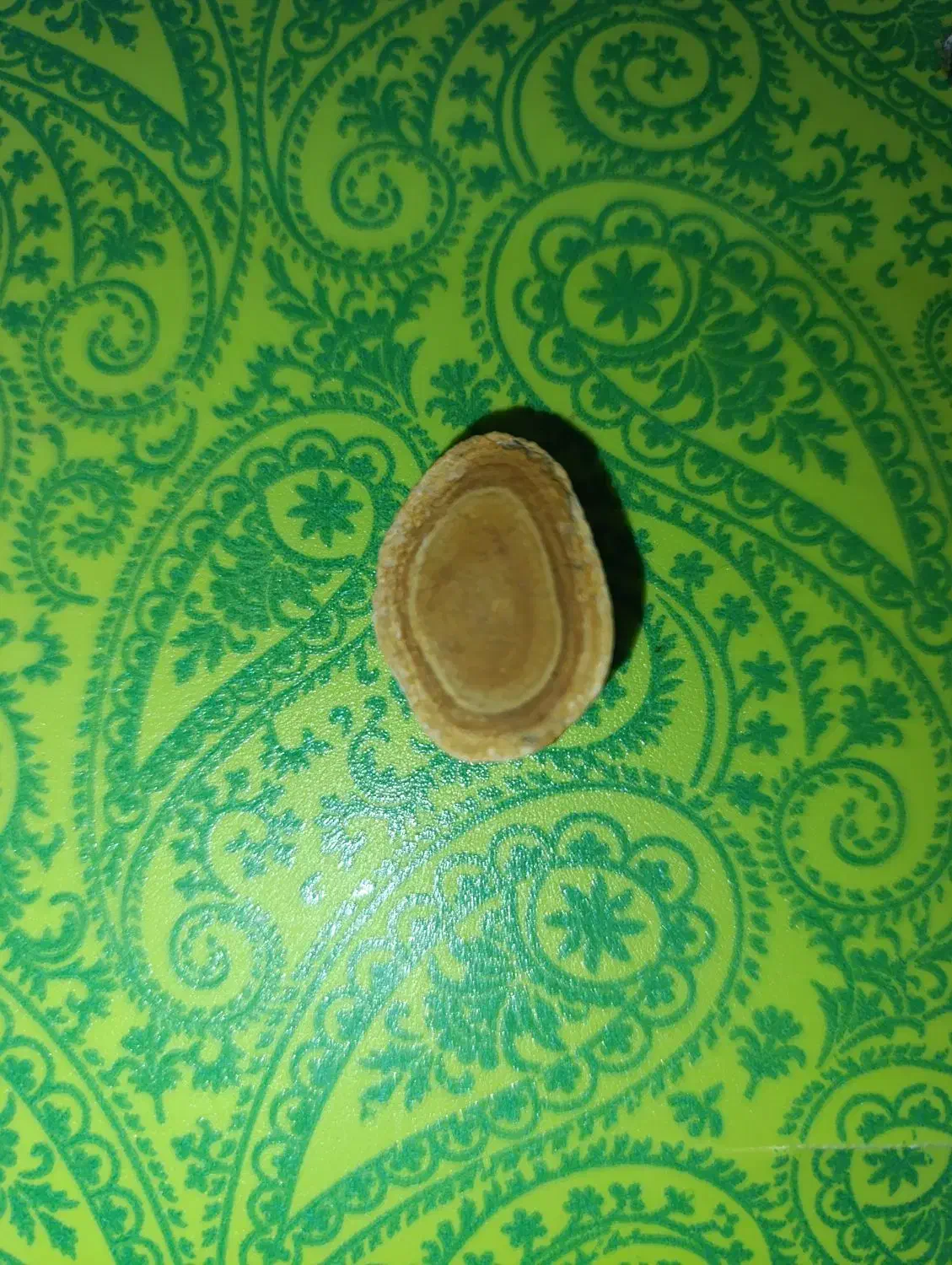 سنگ قیمتی|کلکسیون اشیاء عتیقه|هندیجان, |دیوار