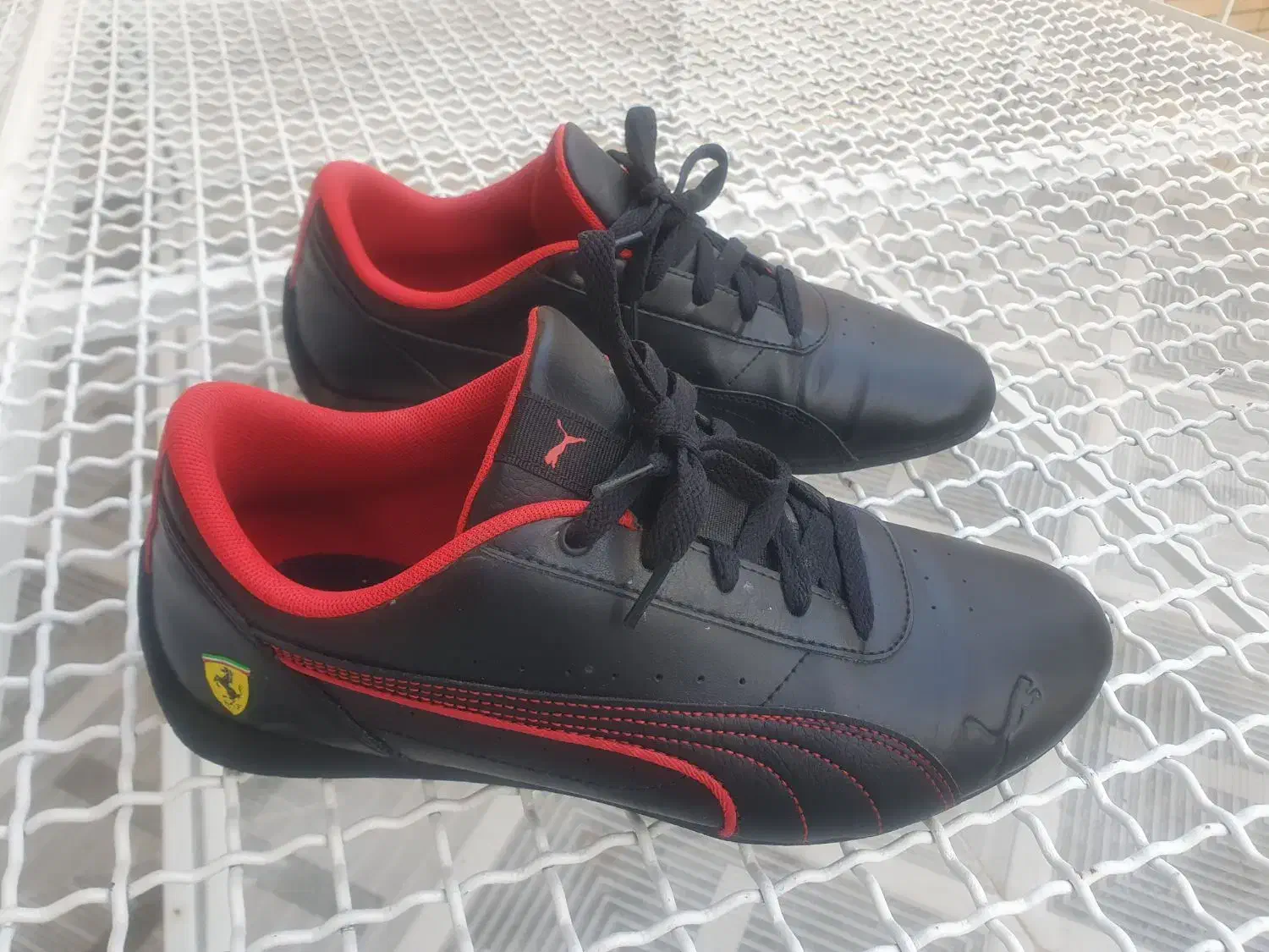 پوما|کیف، کفش، کمربند|شیراز, دینکان|دیوار