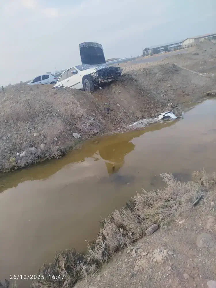 فروشی|خودرو سواری و وانت|بوشهر, |دیوار