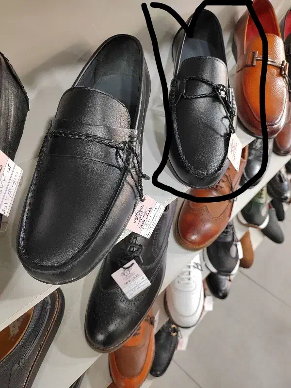 کفش کالج مجلسی|کیف، کفش، کمربند|بومهن, |دیوار