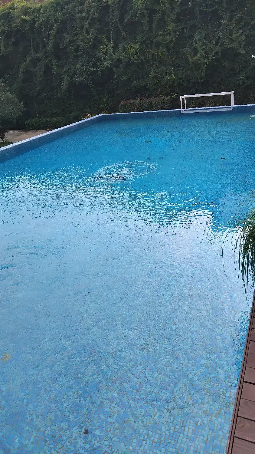 نظافتچی وتحویل دهنده وگیرنده|استخدام سرایداری و نظافت|محمودآباد, |دیوار