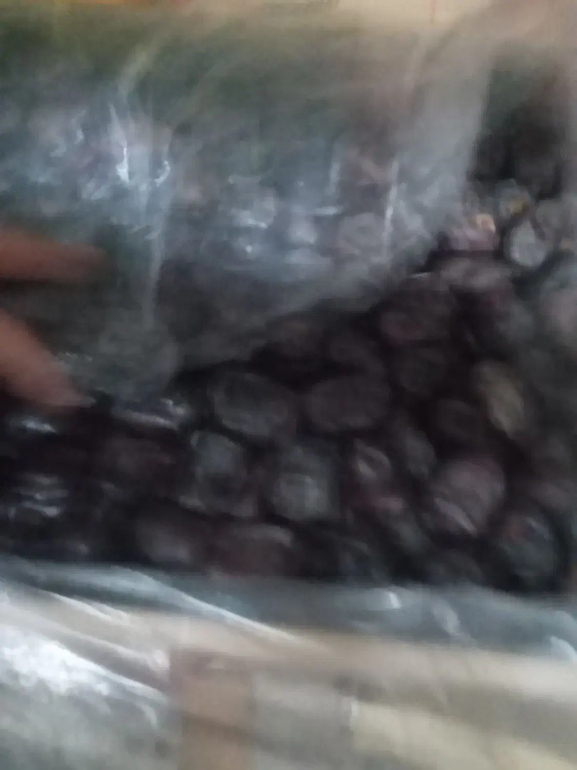 خرمامضافتی کلوته|خوردنی و آشامیدنی|کهنوج, |دیوار