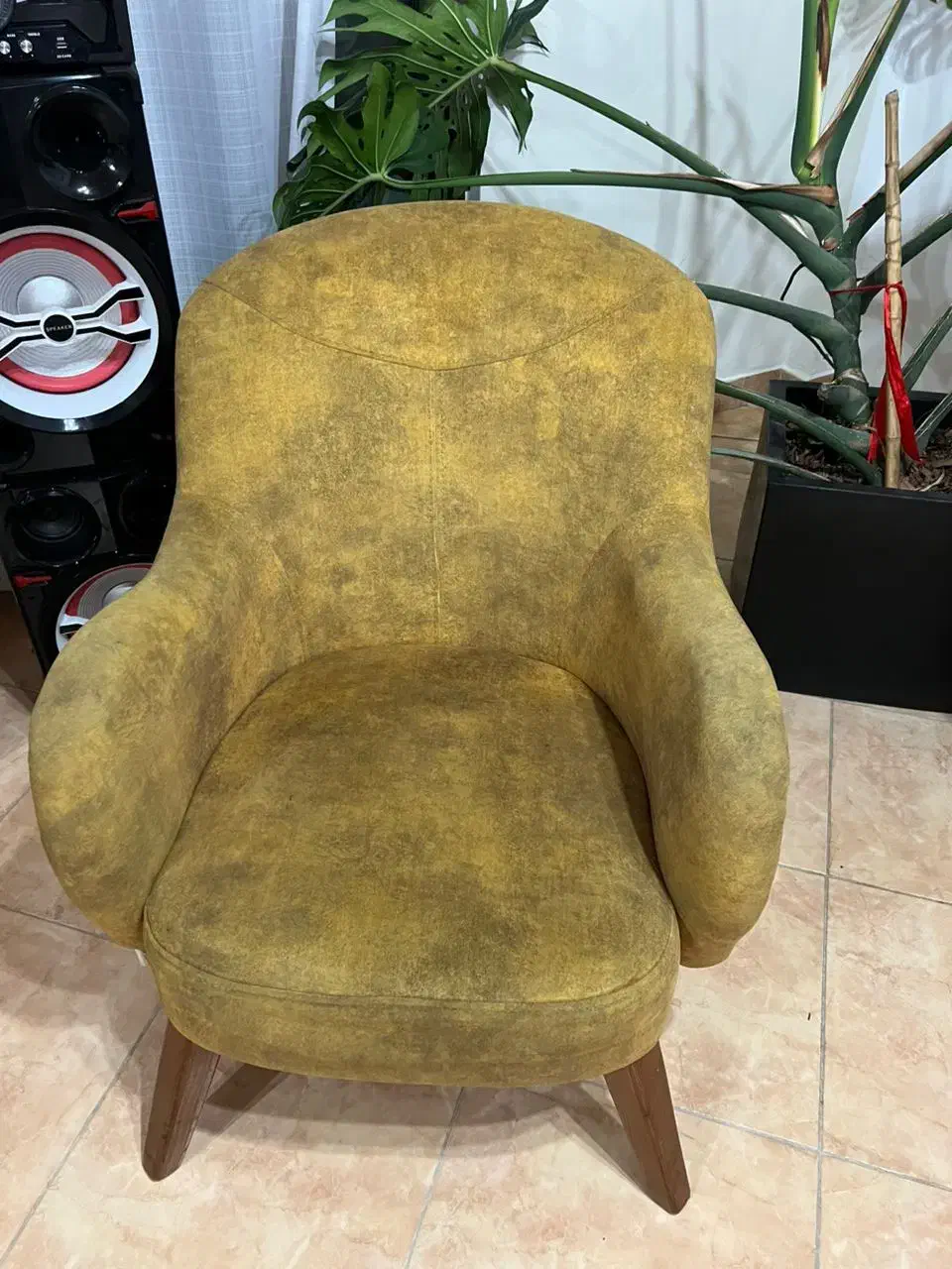 مبلمان شش نفره|مبلمان خانگی و میز عسلی|رامسر, |دیوار