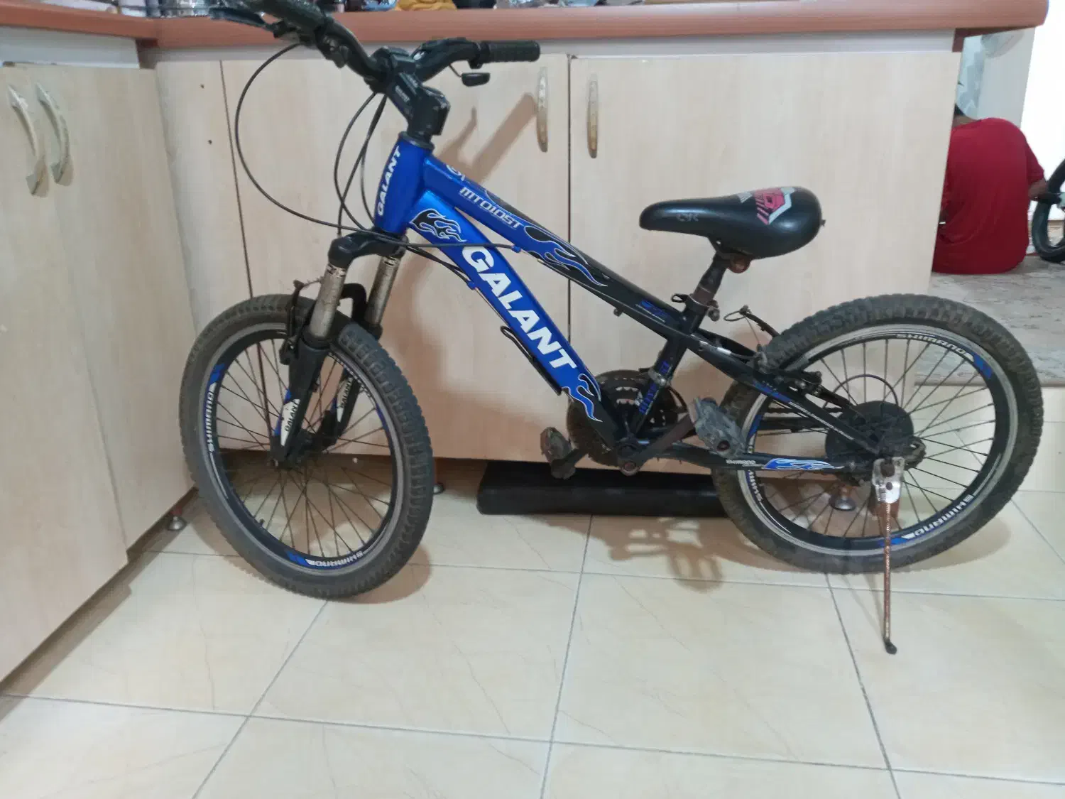 دوچرخه حرفه ای سایز ۲۰|دوچرخه، اسکیت، اسکوتر|رشت, دروازه لاکان|دیوار