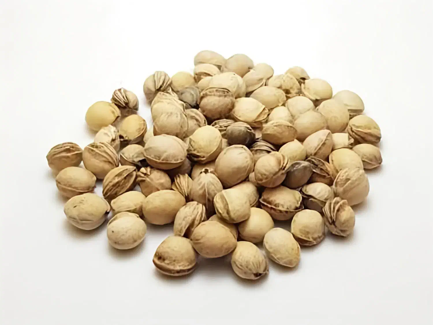 هسته آلبالو|خوردنی و آشامیدنی|اصفهان, ارداجی|دیوار