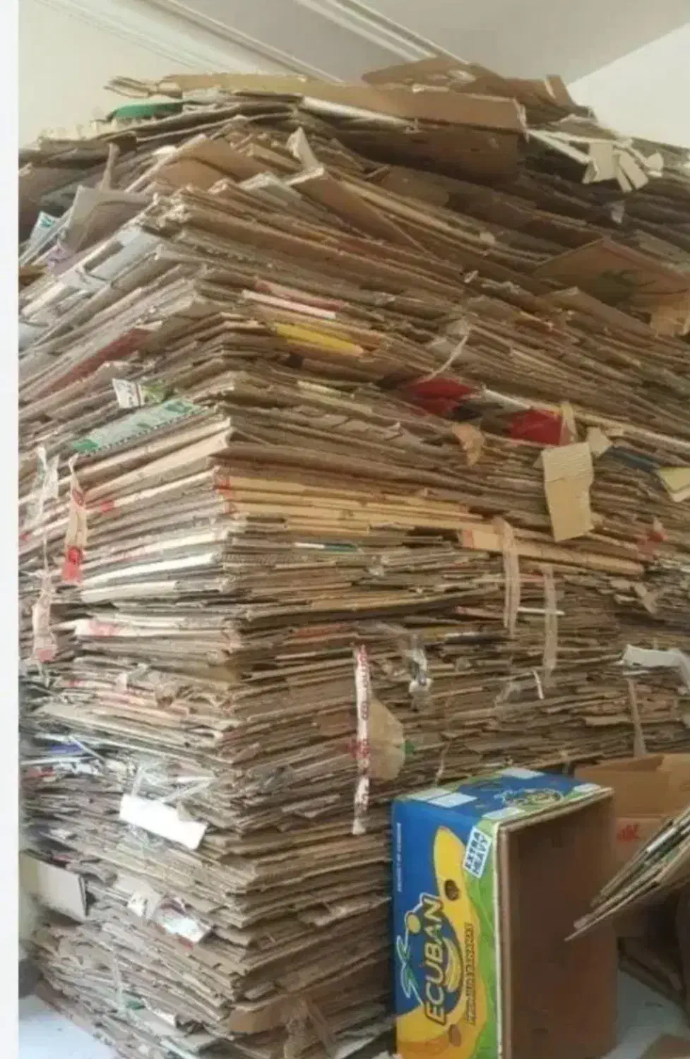 خرید کارتن ضایعات در محل|خدمات پیشه و مهارت|ارومیه, |دیوار