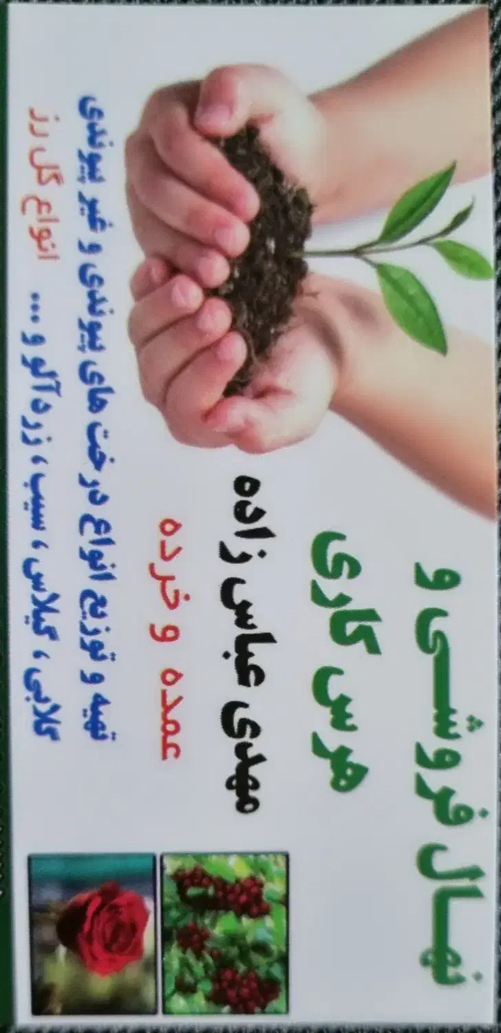 نهال وگل فروشی وهرس کاری|گل و گیاه طبیعی|اردبیل, |دیوار