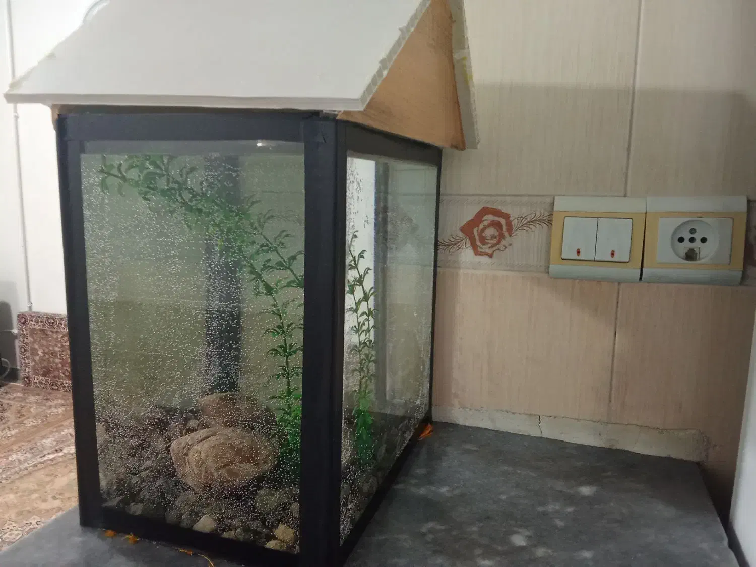 اکواریوم|ماهی|دیواندره, |دیوار