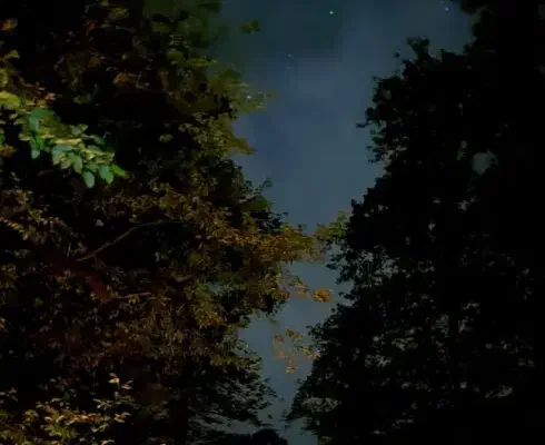 راهنمایی|فعالیت داوطلبانه تحقیقاتی|قم, شاه احمد قاسم|دیوار