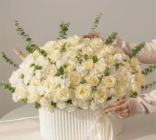 باکس تنها بدون گل|گل و گیاه طبیعی|قم, شهرک امام حسن|دیوار