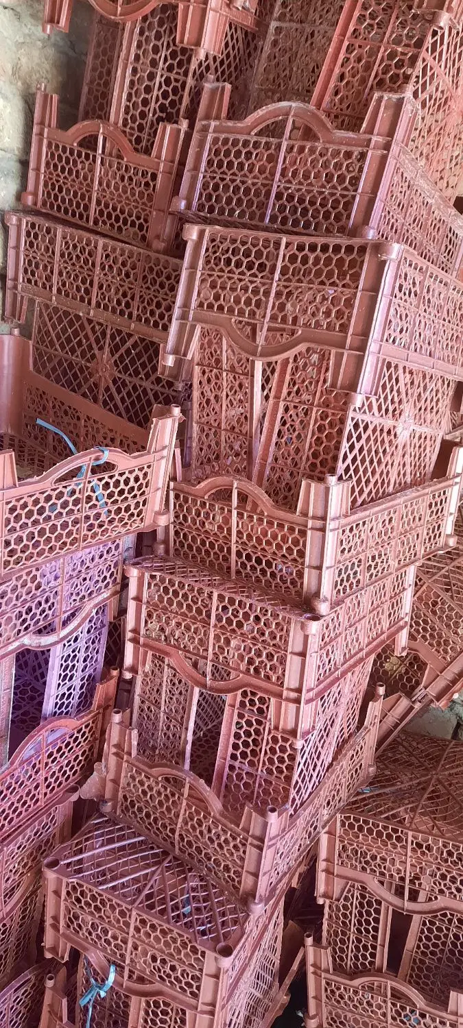 سبد|ظروف نگهدارنده، پلاستیکی، یکبارمصرف|تویسرکان, |دیوار