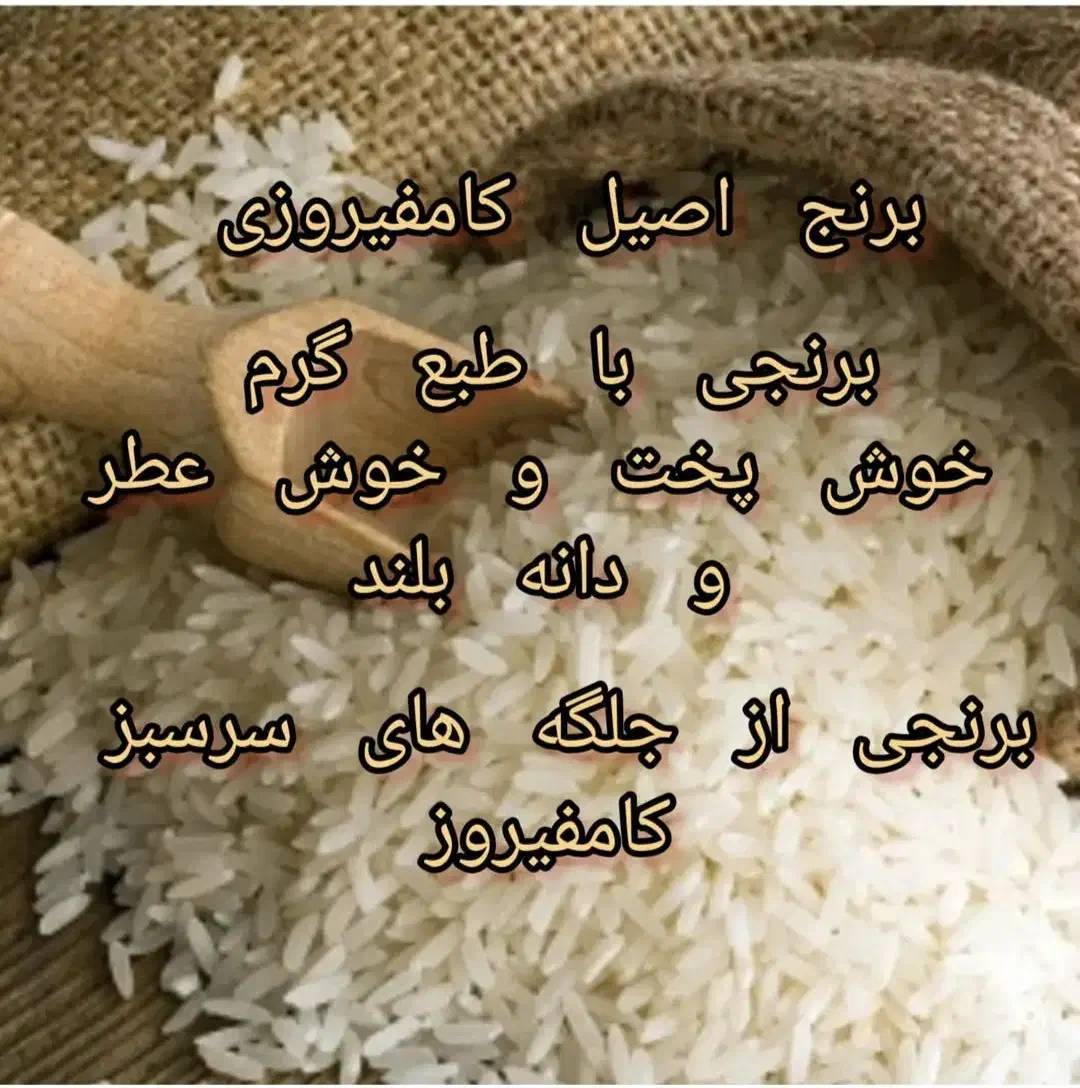 پخش برنج کامفیروز امسالی درجه یک|خوردنی و آشامیدنی|اصفهان, دوطفلان|دیوار
