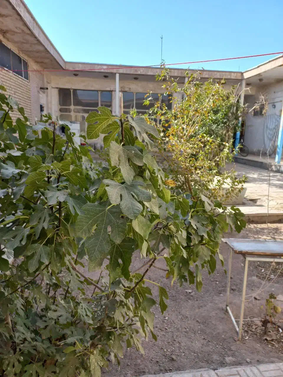 فروش خانه قدیمی|فروش خانه و ویلا|هرند, |دیوار