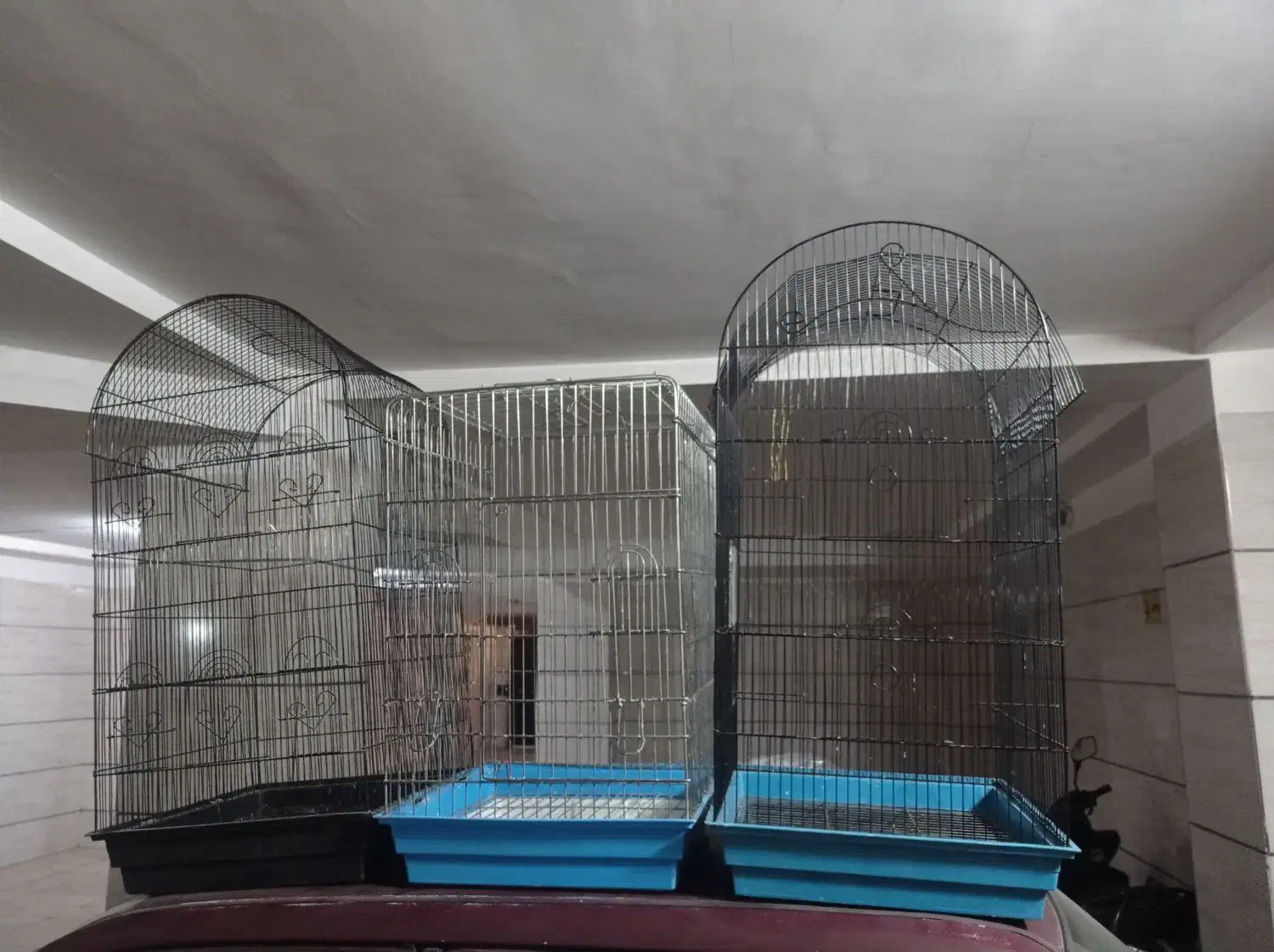 1 عدد قفس مدل 1033 و دو عدد مدل 1034|لوازم جانبی حیوانات|اندیشه, اندیشه فاز ۱|دیوار