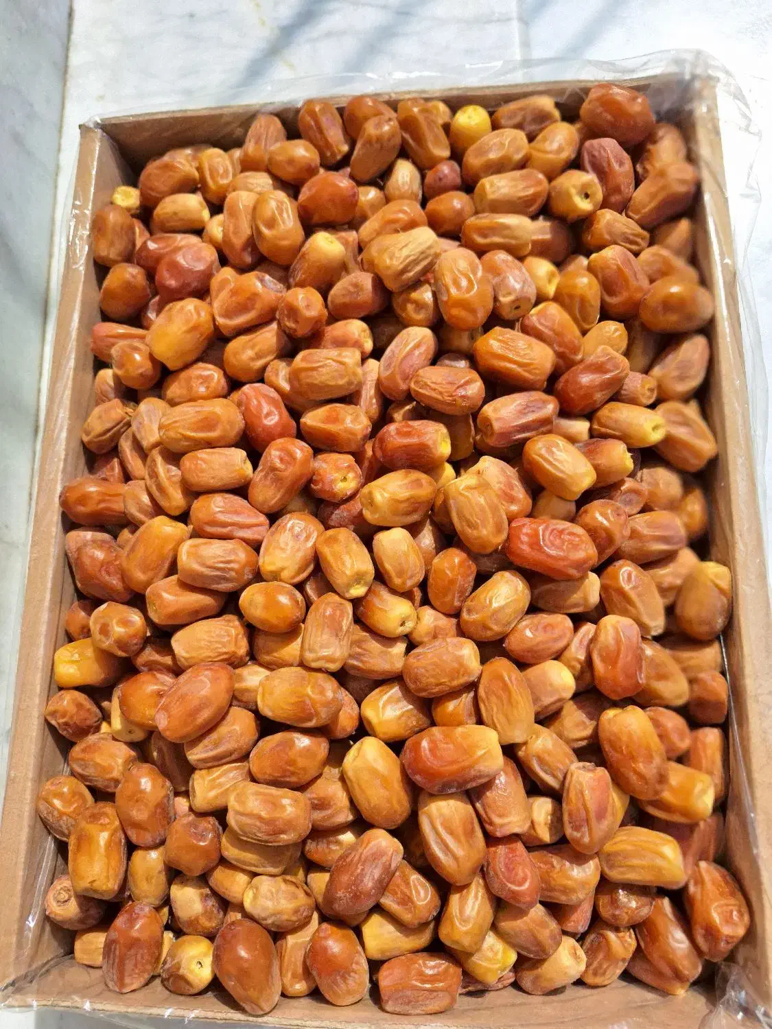 خرما زاهدی قصب|عمده‌فروشی|قیروکارزین, |دیوار