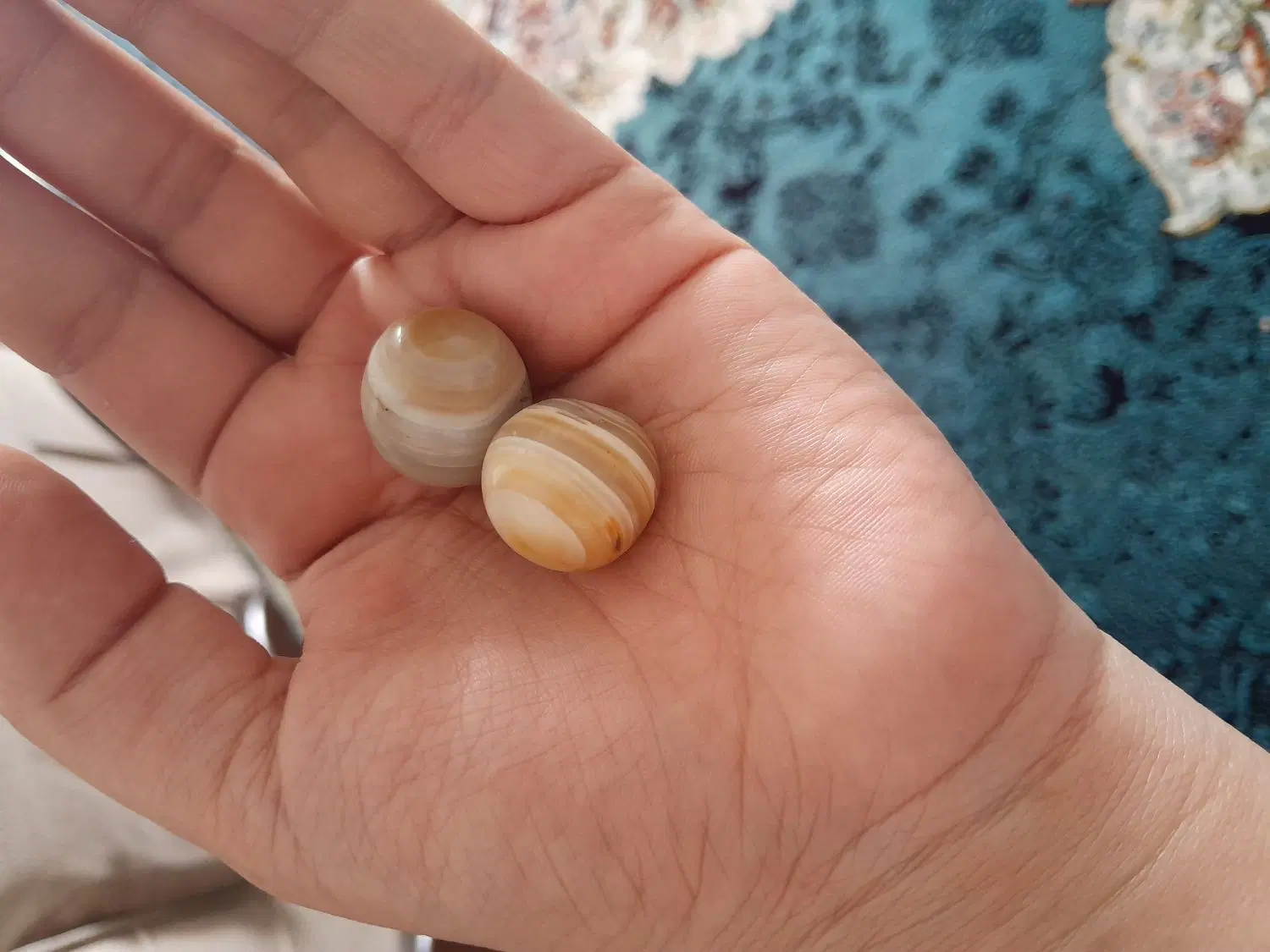مهره اصل|جواهرات|مرودشت, بیست متری بیمارستان|دیوار