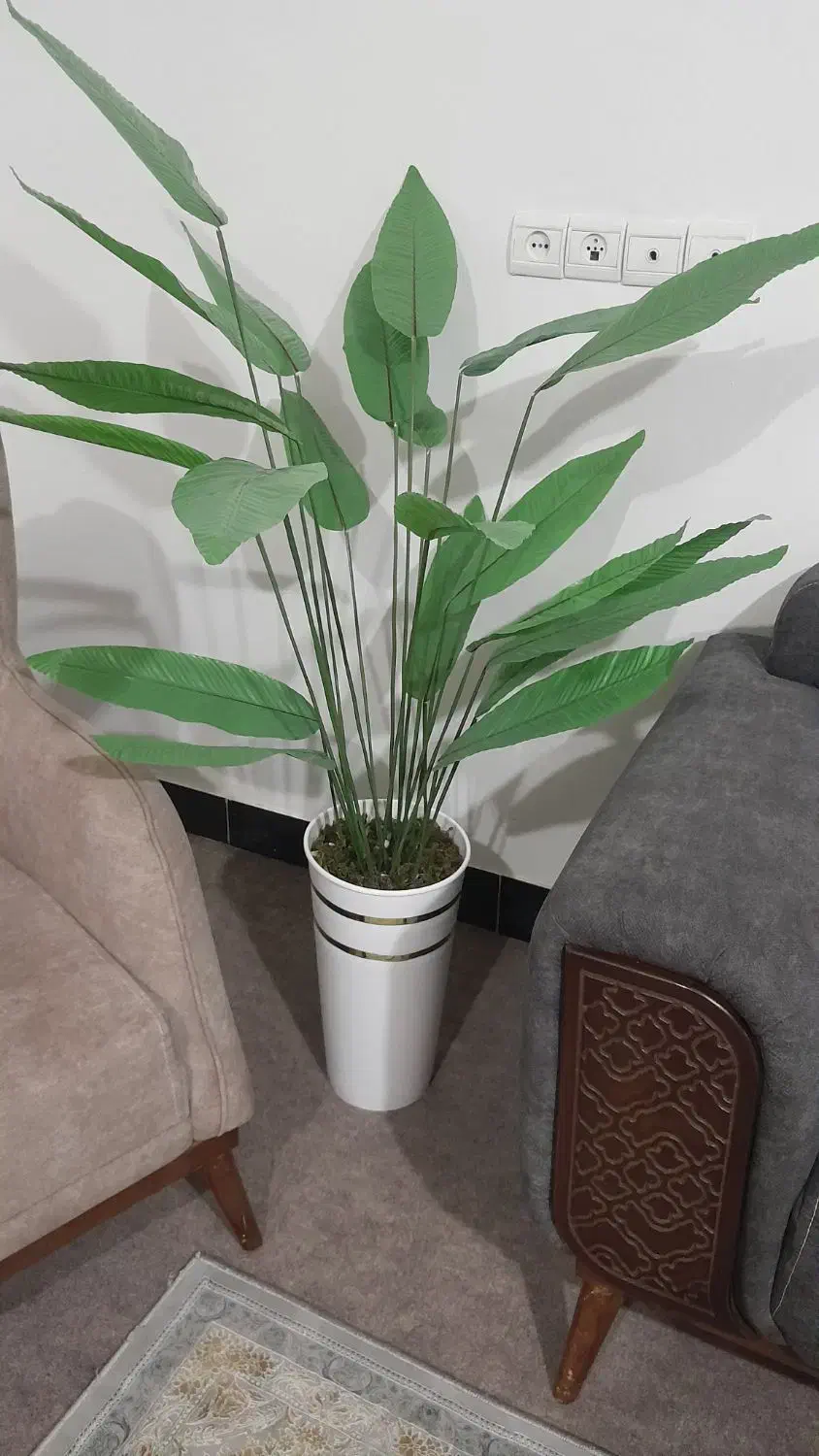 درختچه|گل مصنوعی|قروه, |دیوار