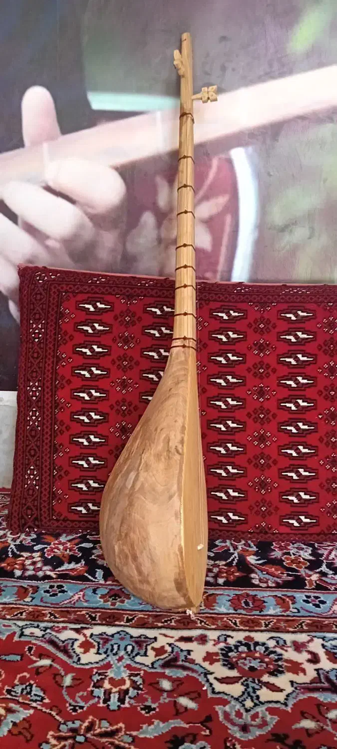 دوتار|سازهای سنتی|مشهد, توس (بلوار توس)|دیوار