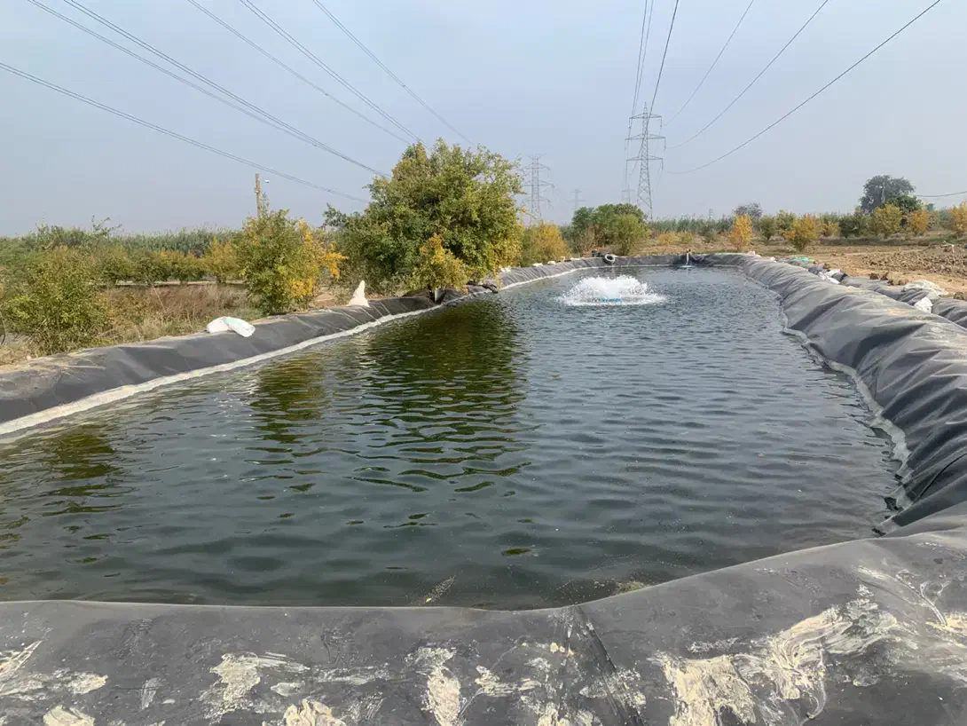 استخرذخیره آب کشاورزی و پرورش ماهی|خدمات پیشه و مهارت|گنبد کاووس, |دیوار