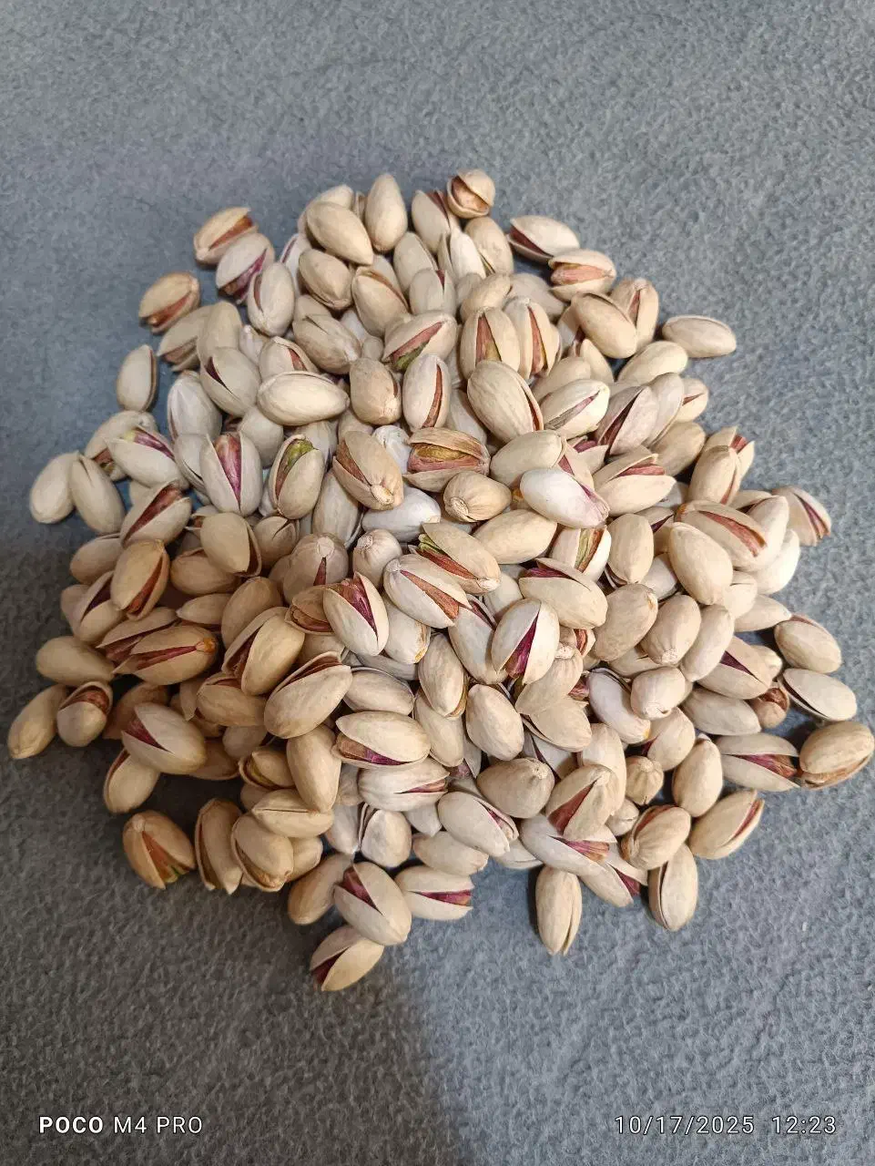 پسته سفید بادامی درجه یک|عمدهفروشی|گناباد, |دیوار