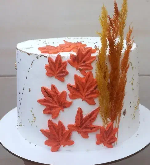 سفارش کیک تولد خانگی|خوردنی و آشامیدنی|پاکدشت, شهرک امام رضا|دیوار