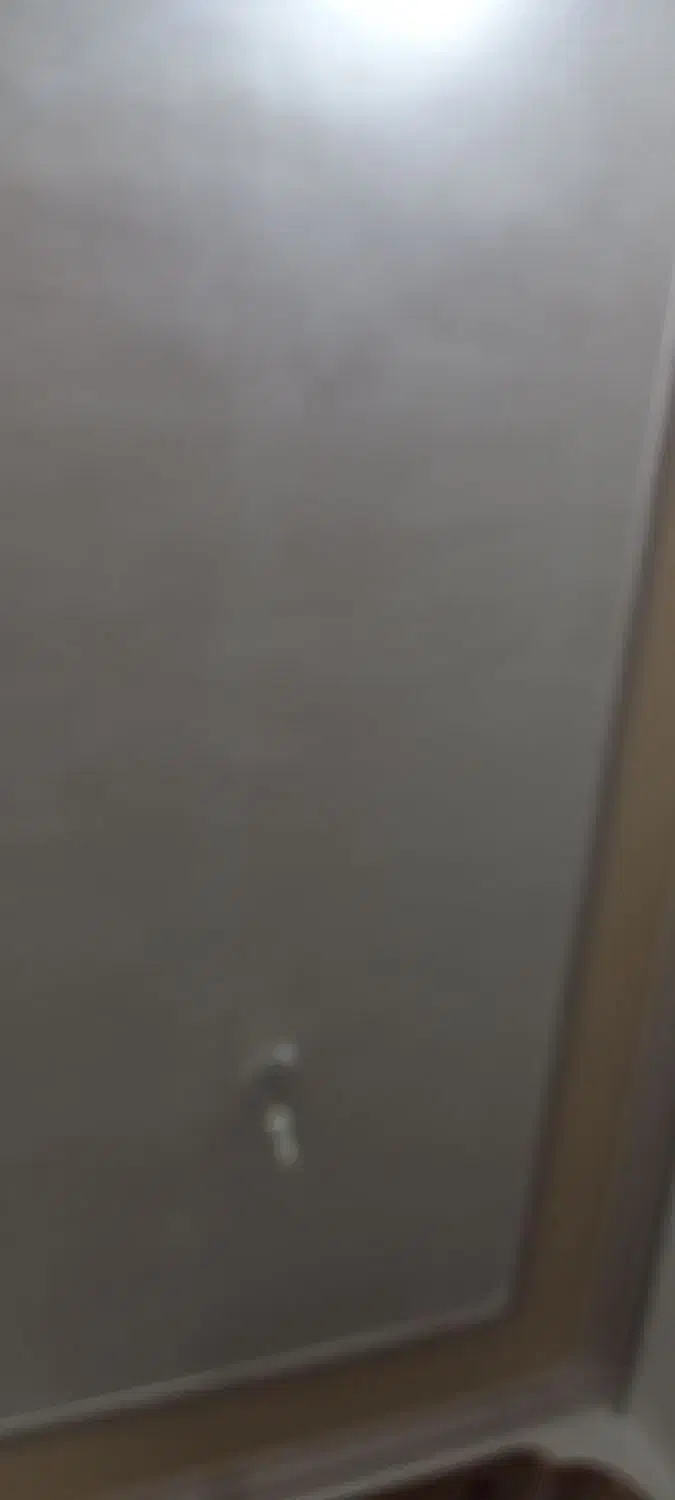 مبل|مبلمان خانگی و میز عسلی|خواف, |دیوار