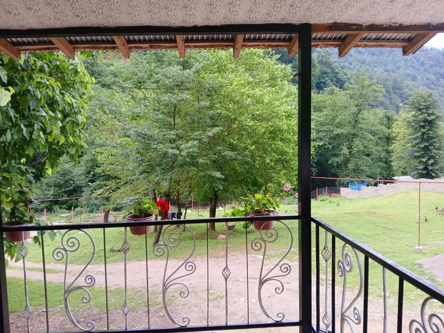 ویلا در دل طبیعت **|اجارهٔ کوتاهمدت ویلا و باغ|ماکلوان, |دیوار