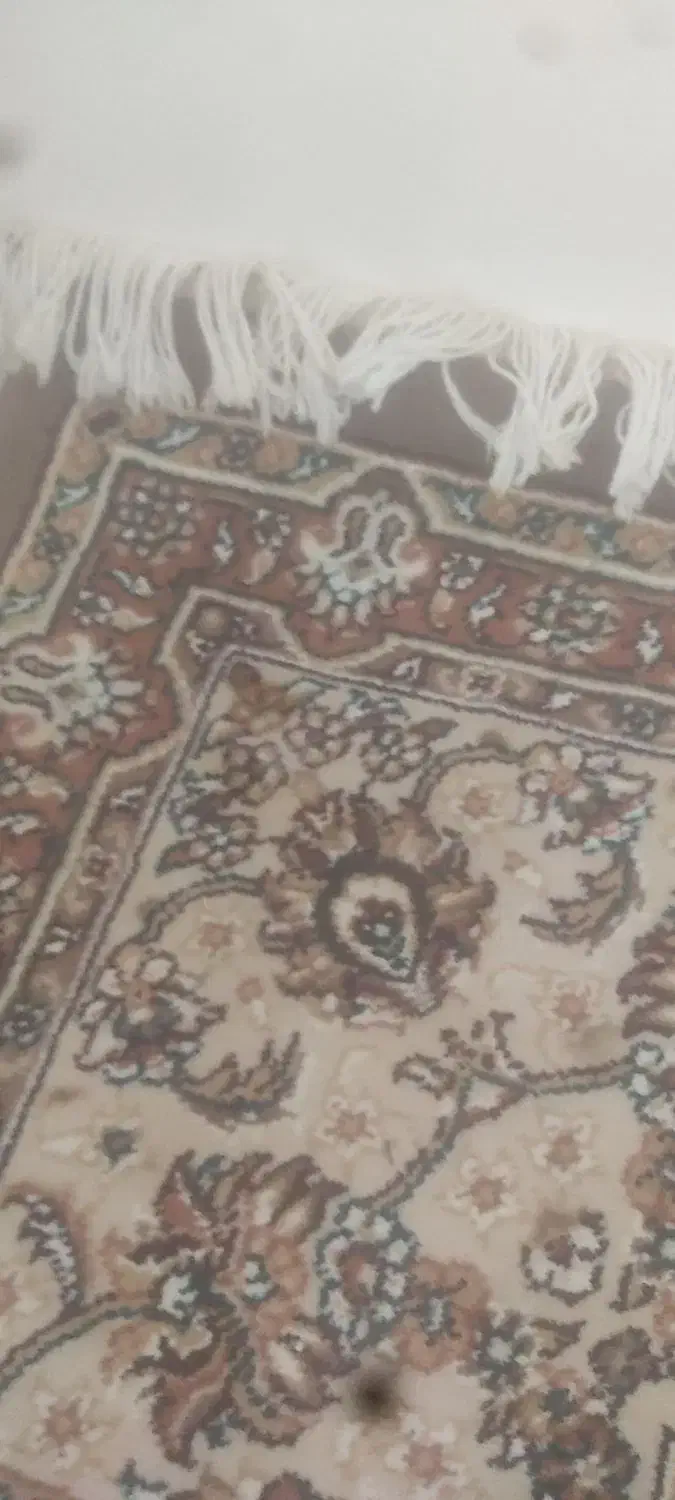 فرش دست دوم ۹ و ۶ و ۱۲ متری|فرش|کاشان, کوی اداره گاز|دیوار