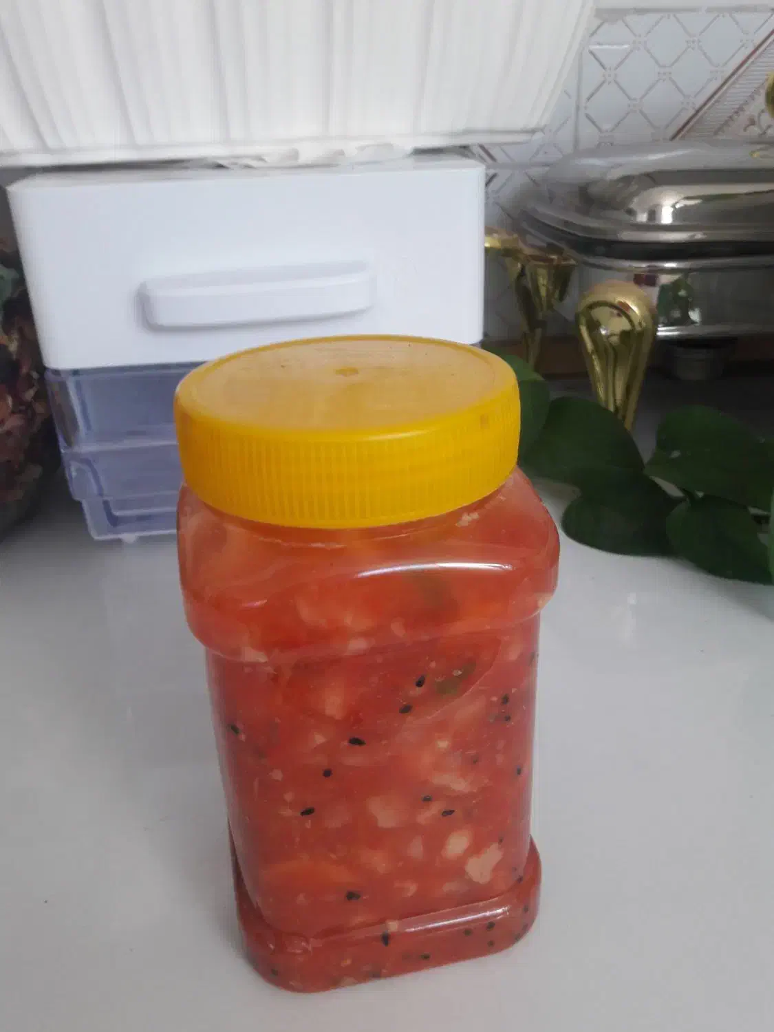 سالاد فصل|خوردنی و آشامیدنی|بیرجند, |دیوار