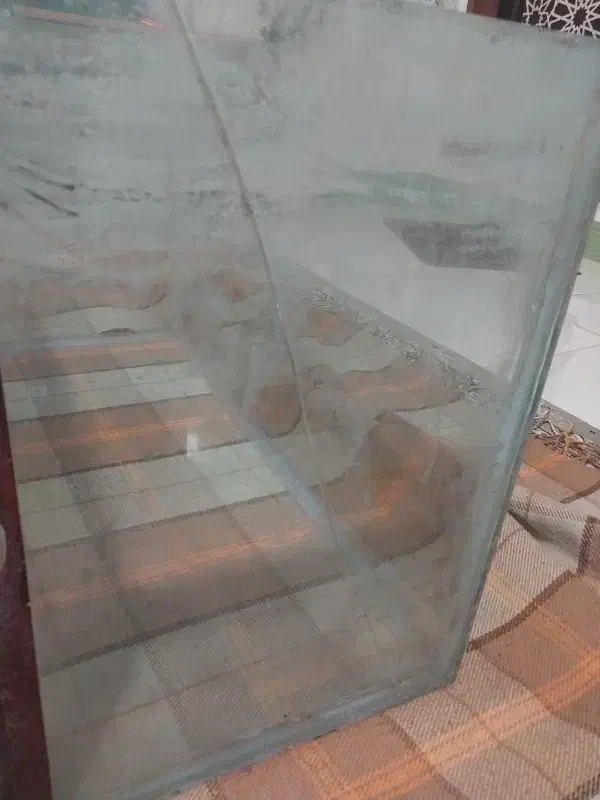 آکواریوم|ماهی|شاهرود, |دیوار