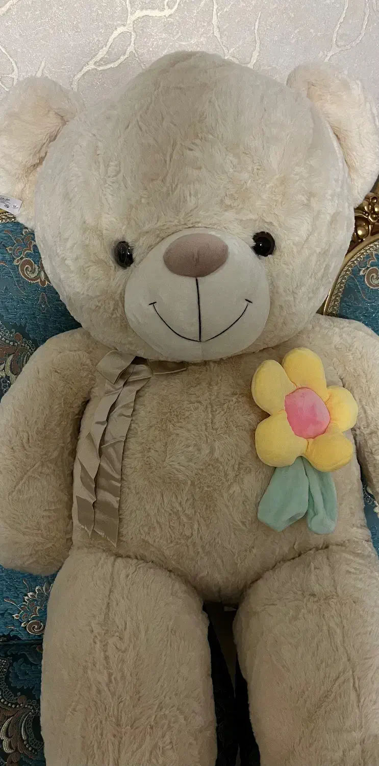 خرس|اسباب‌‌بازی|قم, زنبیل آباد|دیوار