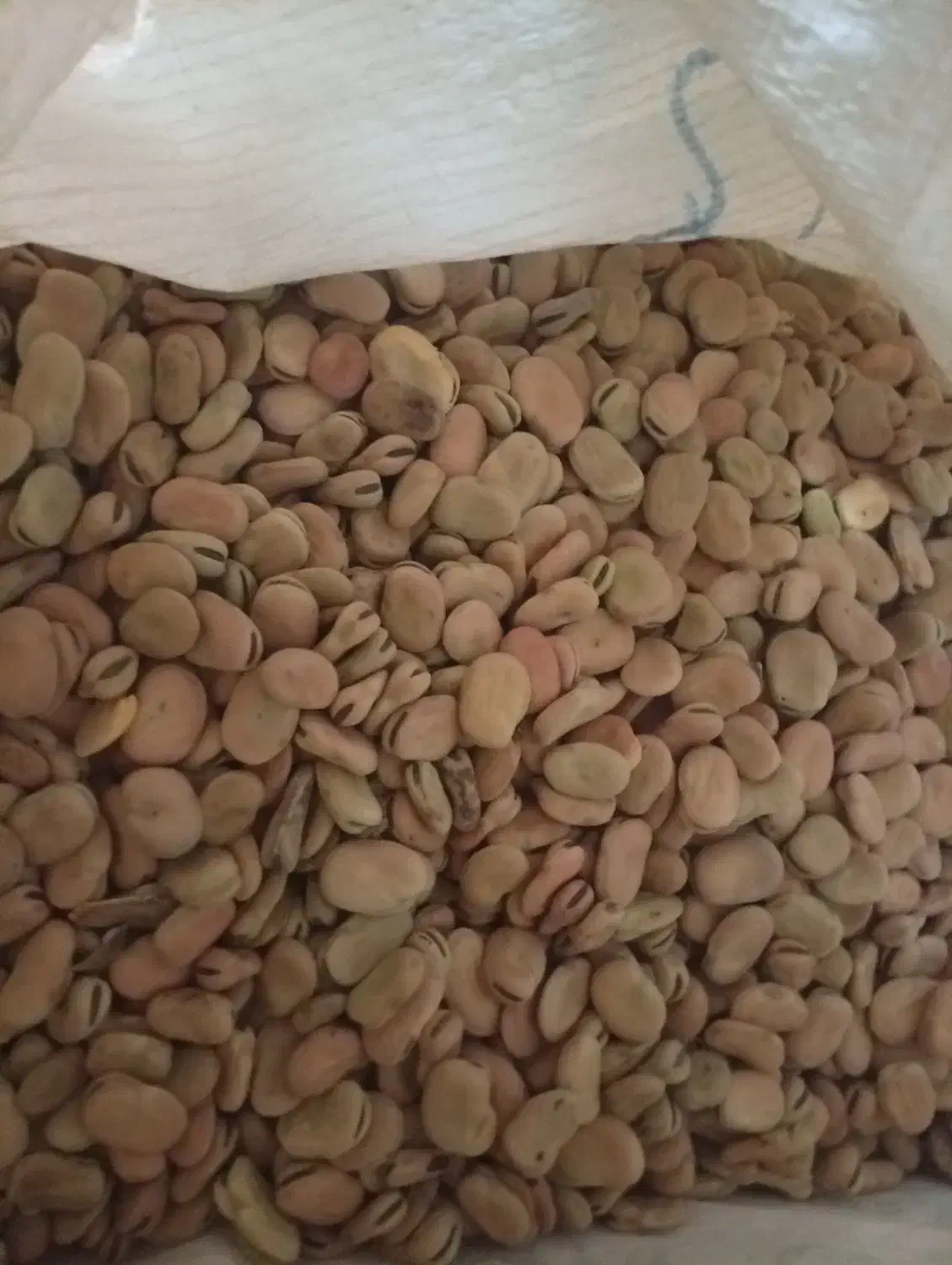 باقله تمیز|خوردنی و آشامیدنی|چگنی, |دیوار