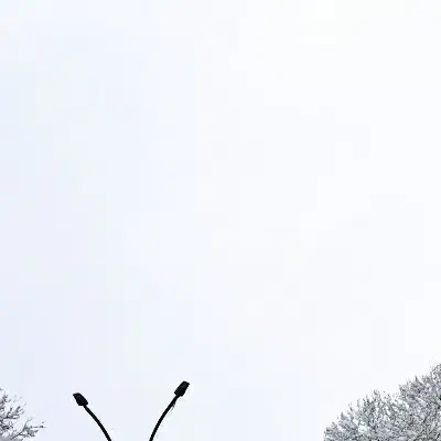 کیف پول مشکی زنانه گم شده|اشیا|همدان, |دیوار