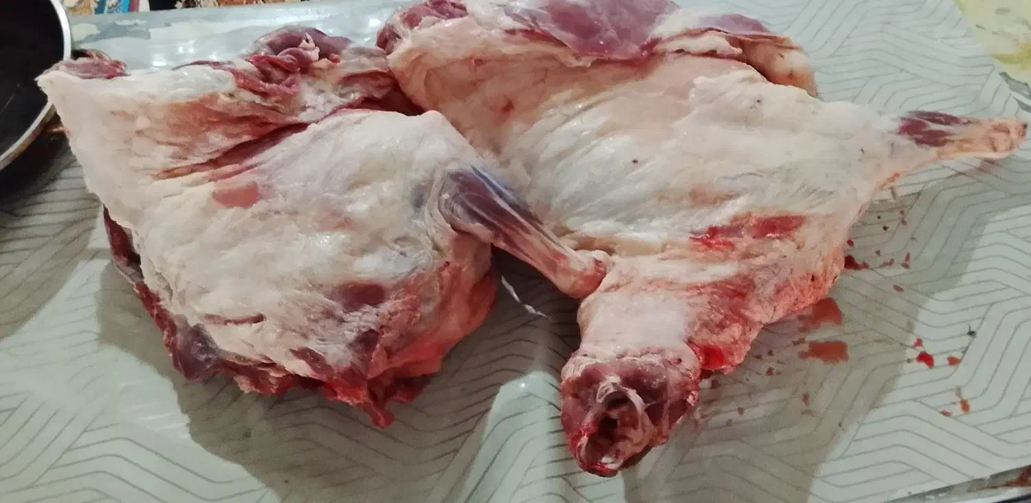 گوشت|خوردنی و آشامیدنی|تربت‌حیدریه, ترمینال|دیوار