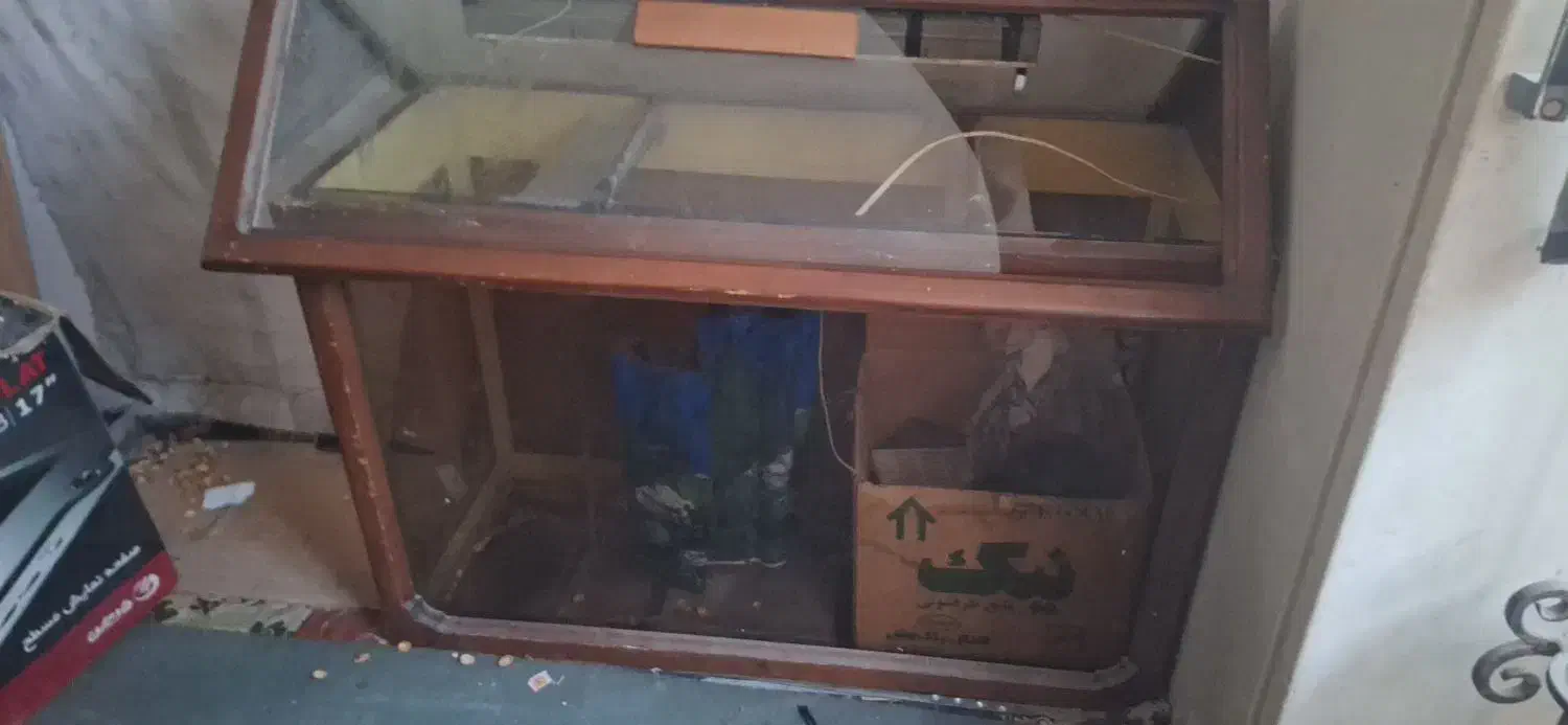 آکواریوم|ماهیگیری|مشهد, پنجتن|دیوار