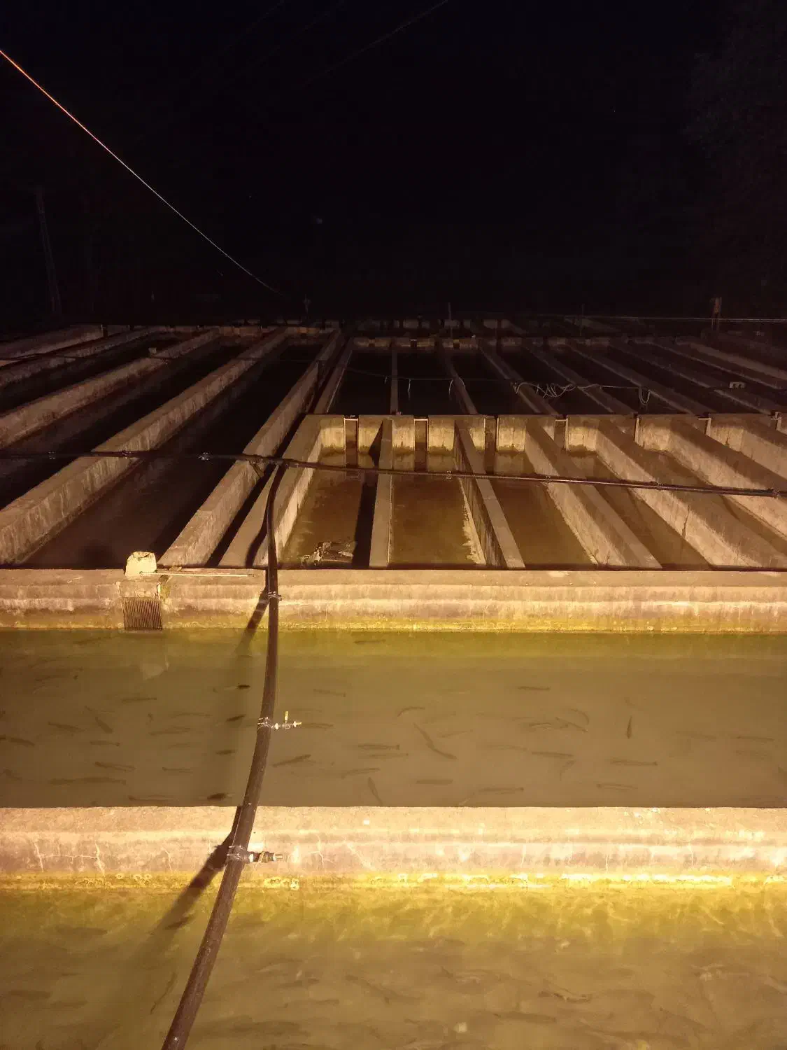 نیروی آقا حدود۳۰سال جهت نظافت کارگاه(گیلان-رودبار)|استخدام سرایداری و نظافت|خلخال, |دیوار