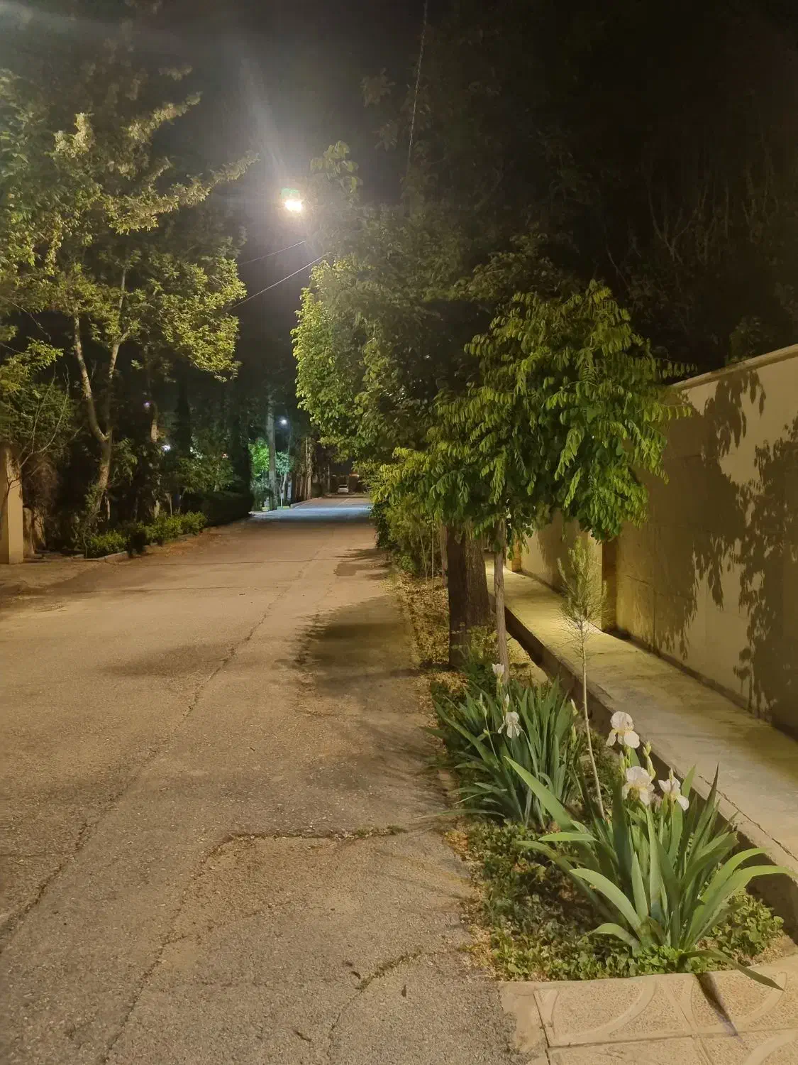 ۵۵۵ متر باغچه شهرک حمیدیه تهاتر|فروش خانه و ویلا|هشتگرد, حمیدیه|دیوار