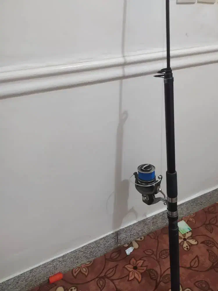 لنسر ماهیگیری|ماهیگیری|لامرد, |دیوار