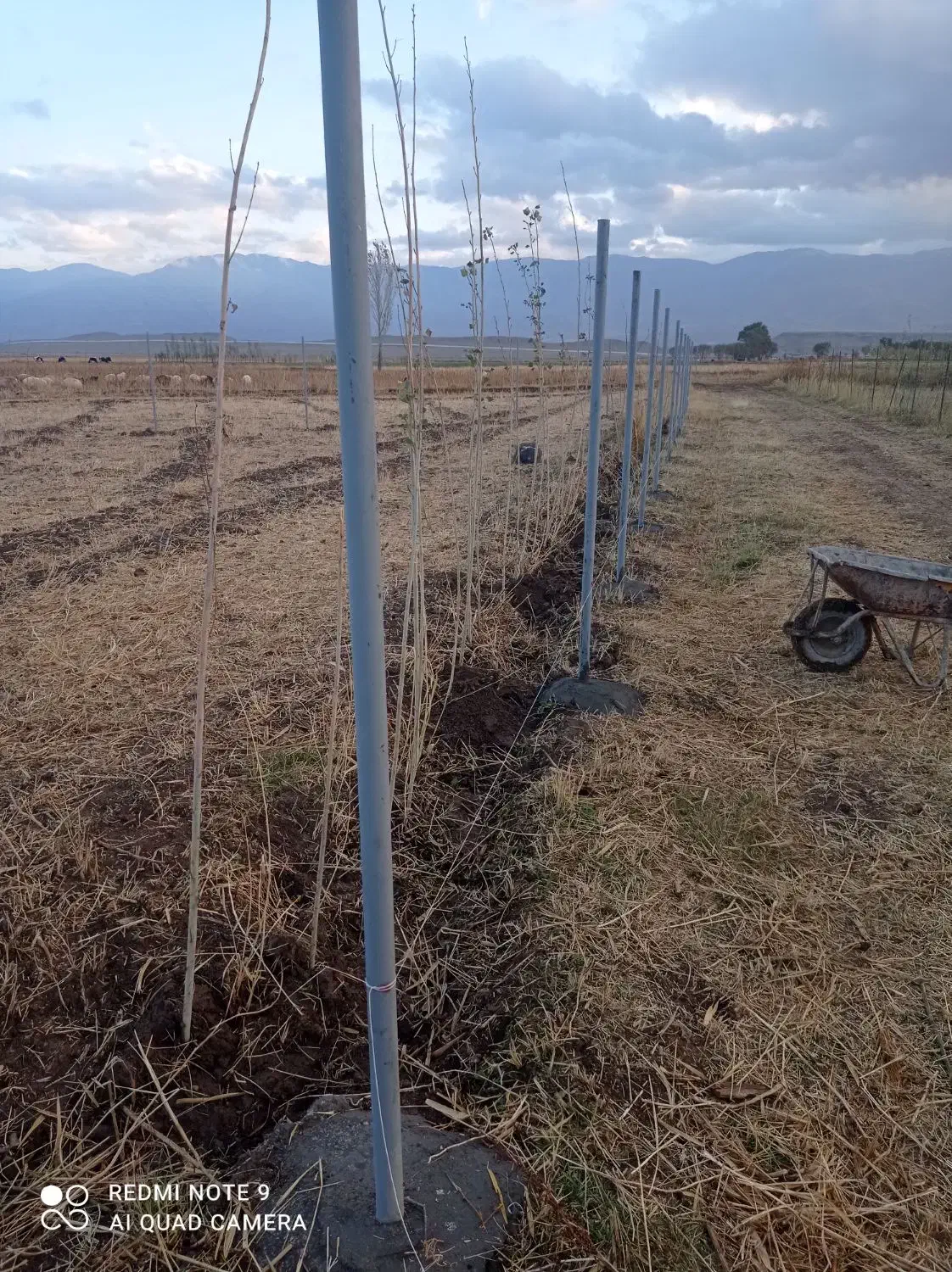 حصار کشی دور باغ|خدمات پیشه و مهارت|نیر (اردبیل), |دیوار