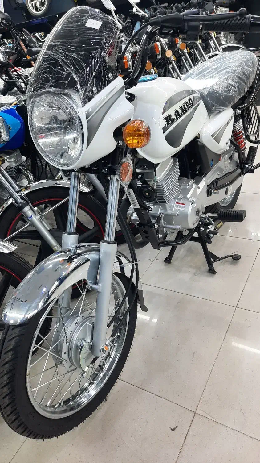 طرح باکسر ۱۵۰ رهرو Rahro نقد و اقساط|موتورسیکلت|تهران, بهار|دیوار