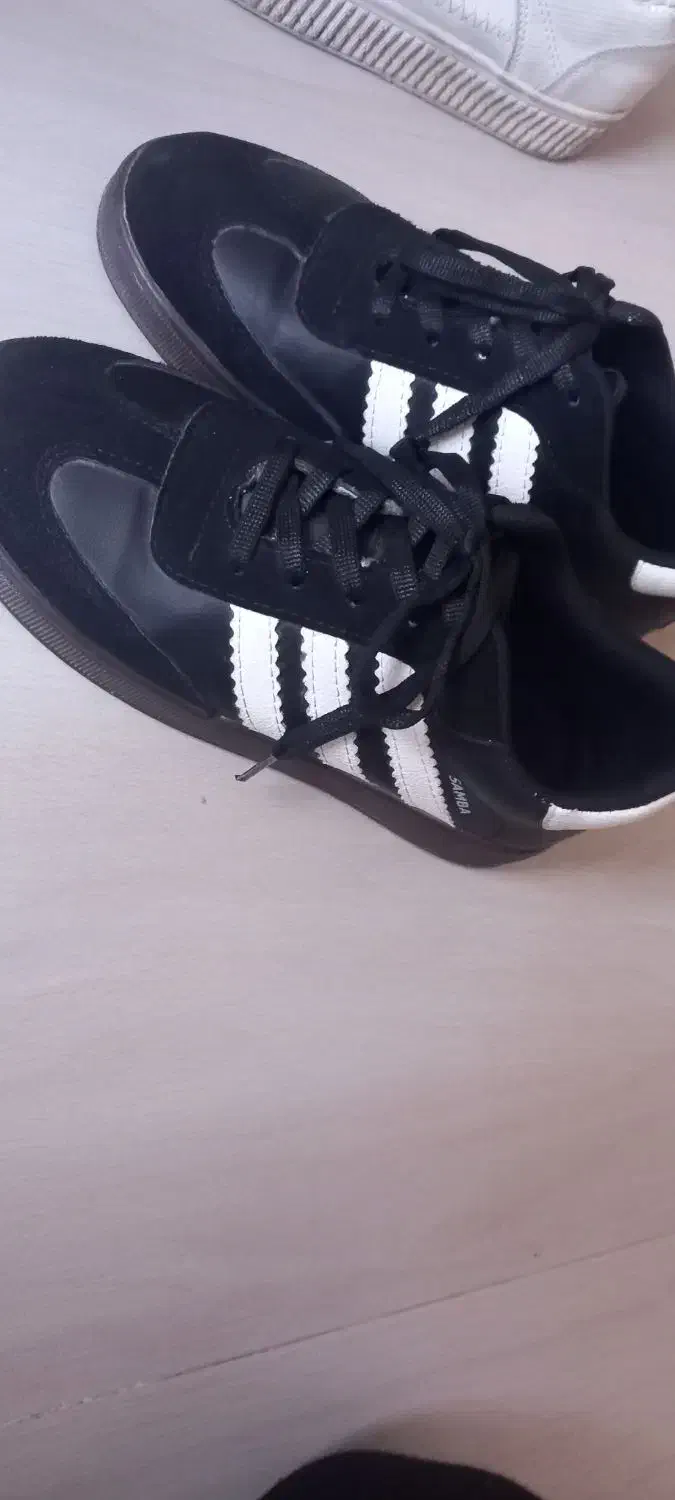 کفش سامبا نو|کیف، کفش، کمربند|تایباد, |دیوار