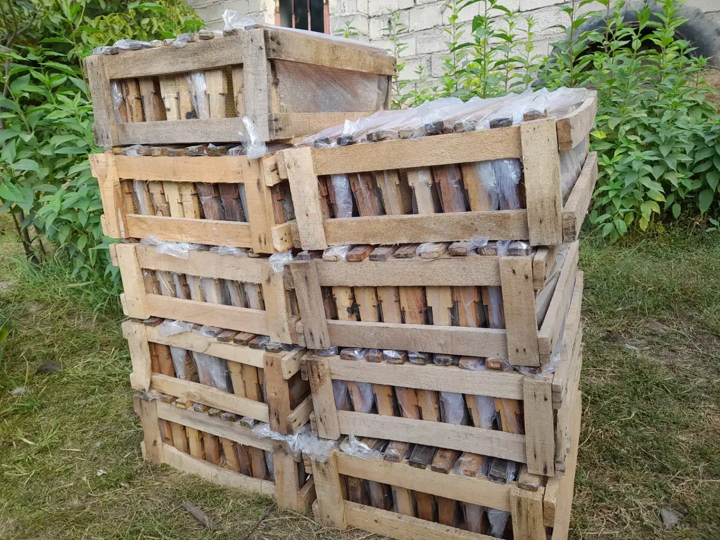 عسل خالص سبلان|خوردنی و آشامیدنی|مشگین شهر, |دیوار