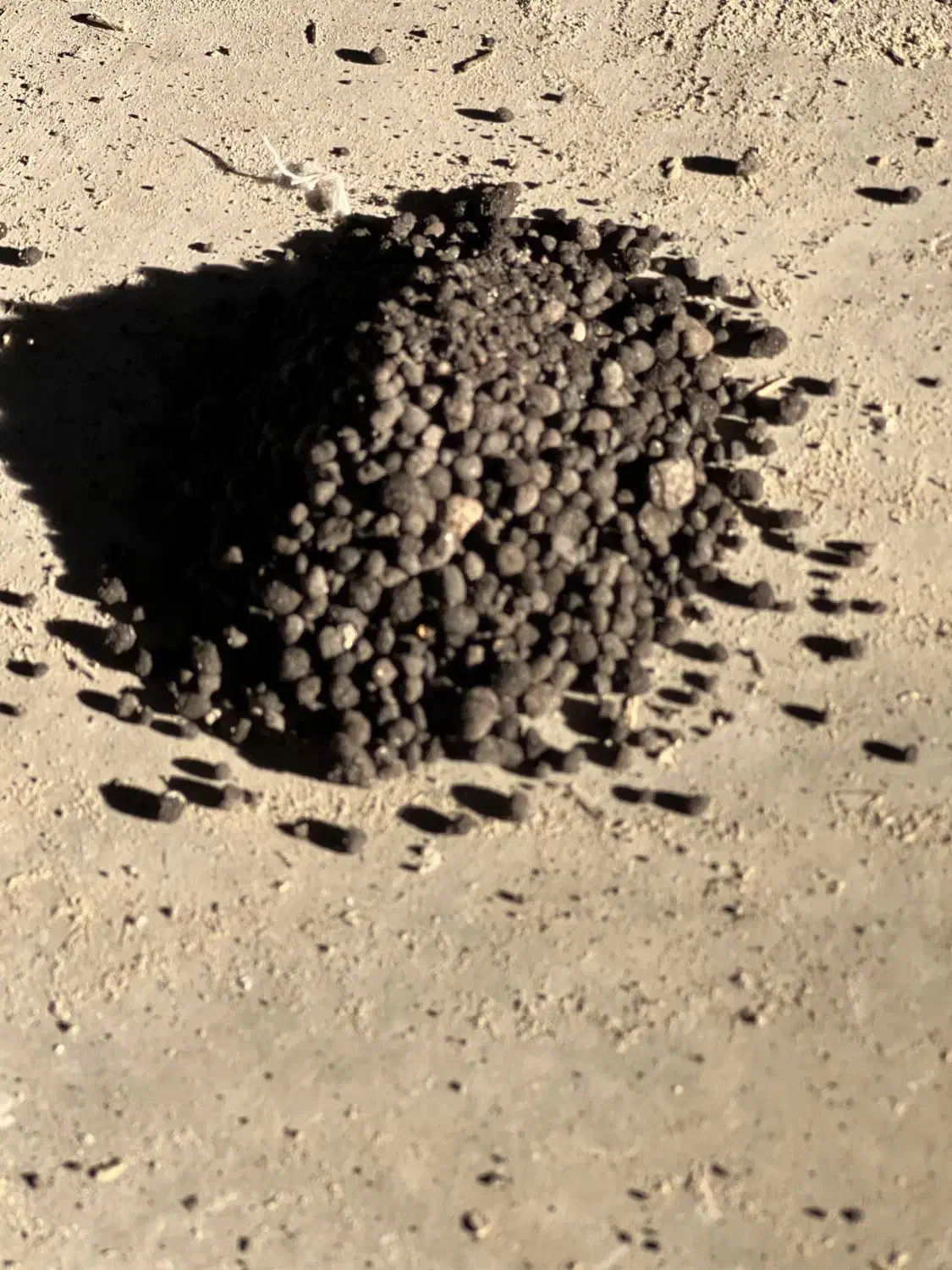 کود کامل کود مرغی|عمده‌فروشی|کرخه, |دیوار