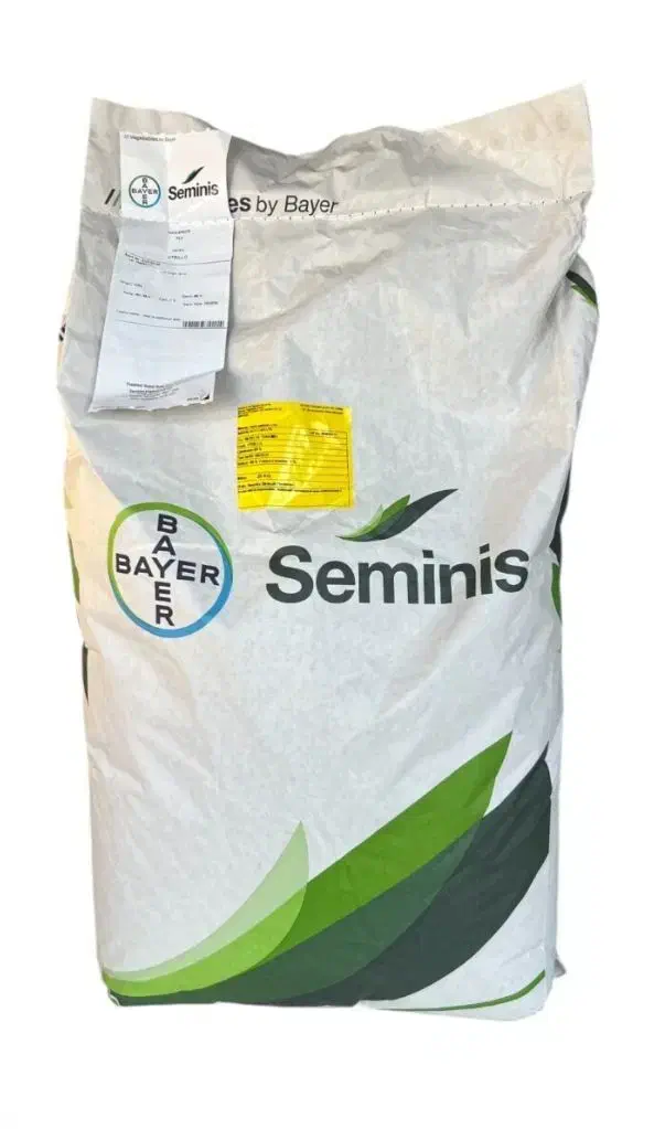 بذر نخود فرنگی اتریلو ترکیه ایتالیا|خدمات باغبانی و درختکاری|گنبد کاووس, |دیوار