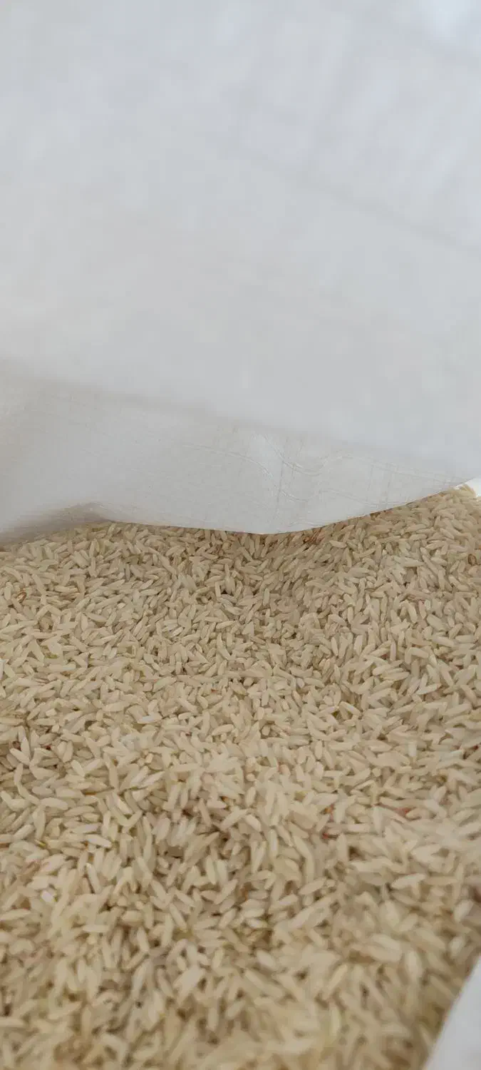 برنج|حراج|بروجرد, |دیوار