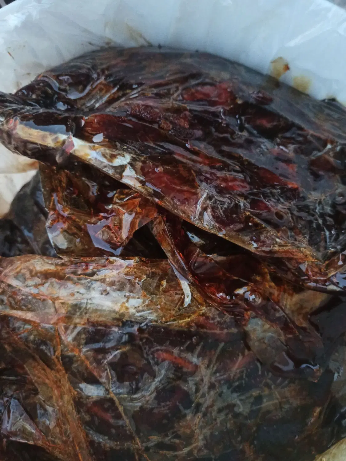 خرما|خوردنی و آشامیدنی|بوشهر, |دیوار