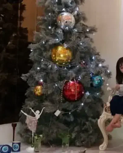 درخت کریسمس برفی|گل مصنوعی|کرج, گلشهر|دیوار