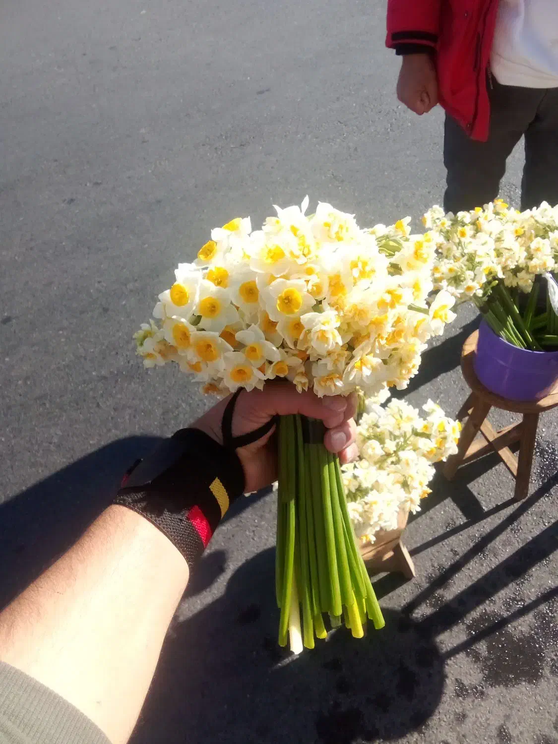 گل نرگس|گل و گیاه طبیعی|بیرجند, |دیوار