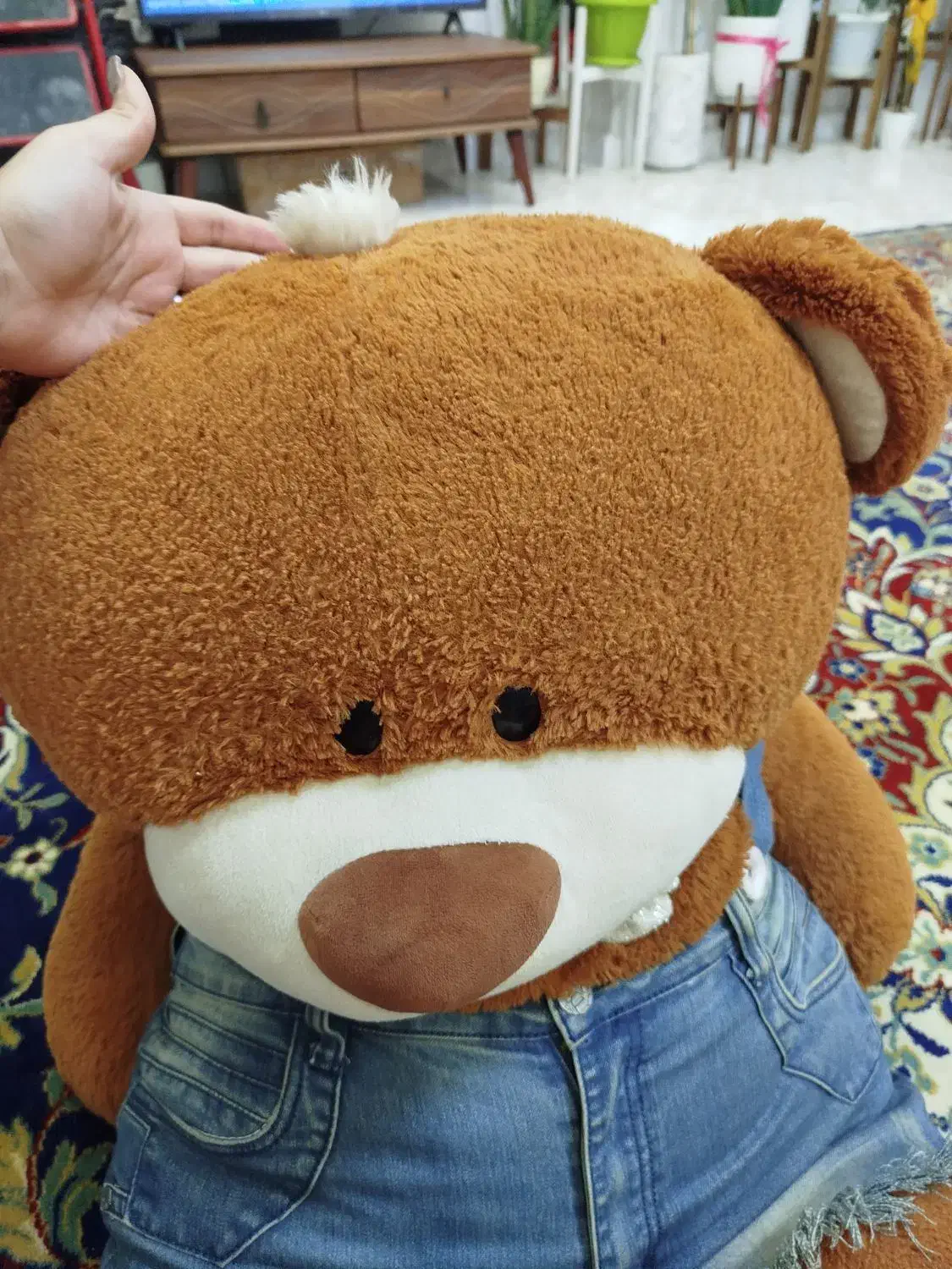 خرس 1متری|اسباب‌‌بازی|بندر انزلی, ساحل قو|دیوار