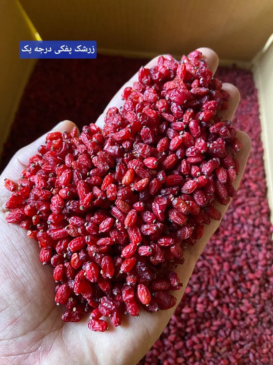 زعفران و زرشک درجه یک مستقیم از کشاورز|حراج|تهران, پردیسان|دیوار